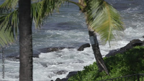 Slow motion waves crash out of focus on lava rocks behind palm trees maui hawaii (ID: 679370784)
