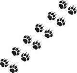 Vector ESP 10 trail of black and white claw prints on snow, depicting the sequential imprints of a predatory animal's powerful and sharp claws. The series of footprints