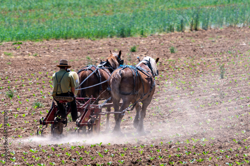 A View of an Amish Farmer Cultivating his Field With Two Horses Pulling on a Sunny Spring Day