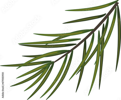Christmas wreaths on transparent  png. illustration of evergreen fir branch.Traditional holiday garland frame design.
