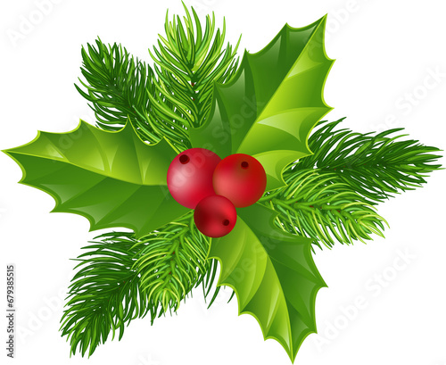 Garland of green holly leaves and red berries. Christmas, New Year. On transparent, png. branches with leaves photo