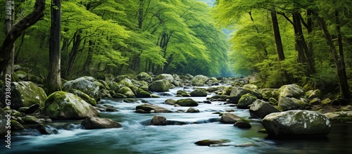 Beautiful Tropical nature rainforest river landscape. AI generated image