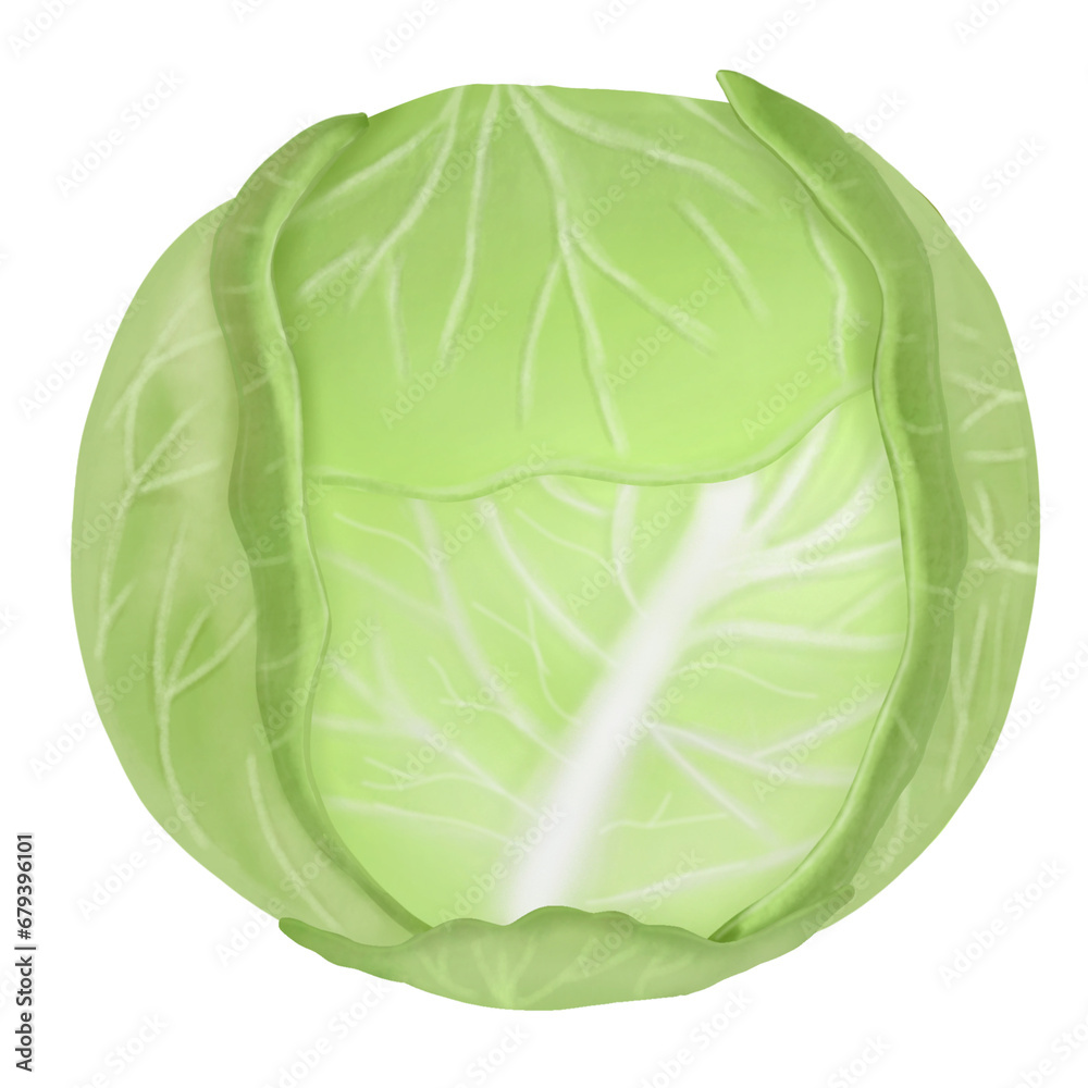 collard greens, vegetables and fruits 5 colors (green) collard greens, vegetables and fruits 5 colors (green)