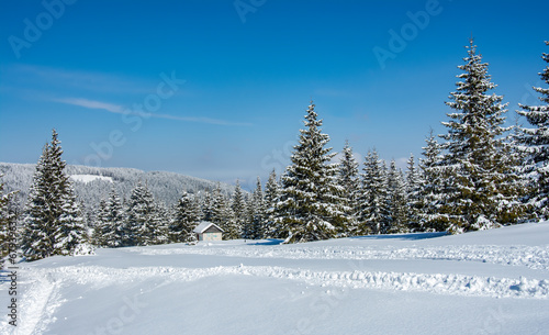 amazing winter landscape with snowy fir trees in the mountains © VSzili