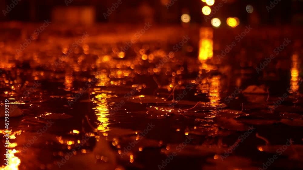 The road covered with leaves is illuminated by the evening lights of the city. Close-up static photography of fallen autumn leaves. The road covered with leaves is illuminated by the evening lights of the city. Close-up static photography of fallen autumn leaves.