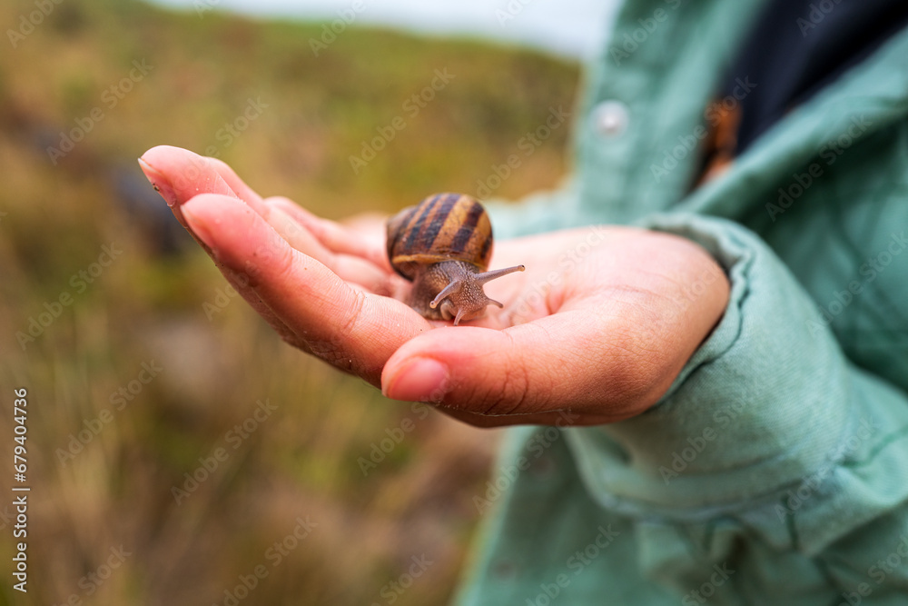 Snail Offering