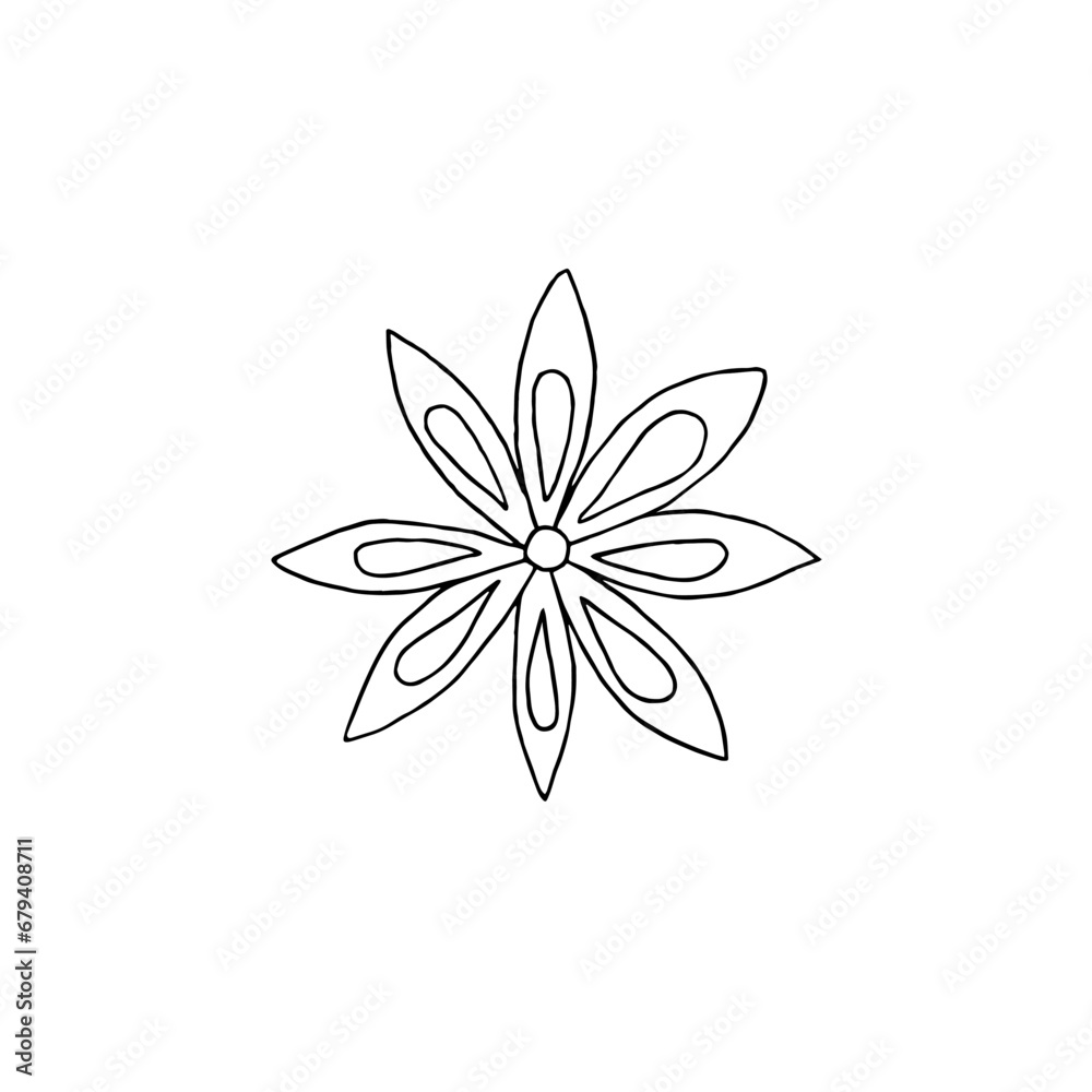 Star anise hand drawn in ink. Monochrome contour drawing. Vector illustration. Design element for coloring pages, menu, cards, prints, packaging, invitations, business cards, advertising Star anise hand drawn in ink. Monochrome contour drawing. Vector illustration. Design element for coloring pages, menu, cards, prints, packaging, invitations, business cards, advertising
