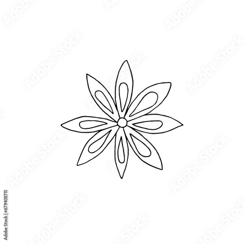Star anise hand drawn in ink. Monochrome contour drawing. Vector illustration. Design element for coloring pages, menu, cards, prints, packaging, invitations, business cards, advertising