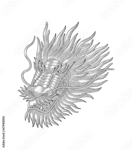 Angry dragon head, Vintage engraving drawing style illustrtion