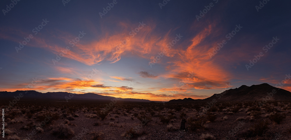 Desert Sunrise