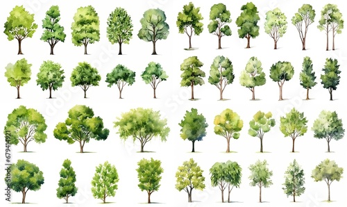 watercolor style illustration of summer or spring tree collection set, cartoon illustration isolated on white background,  Generative Ai	
 photo