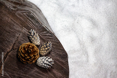 Snowy pine cones flat lay on a tree trunk with snowy ground
