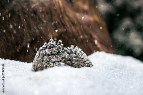 Snowy pine cones in a woodland forest with falling snow
