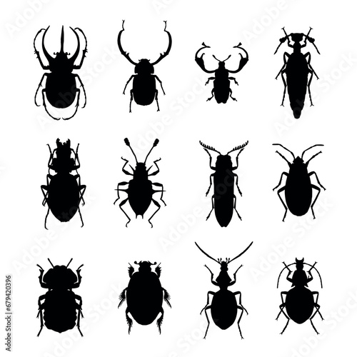 set of insects vector eps 10 © Muginandaru