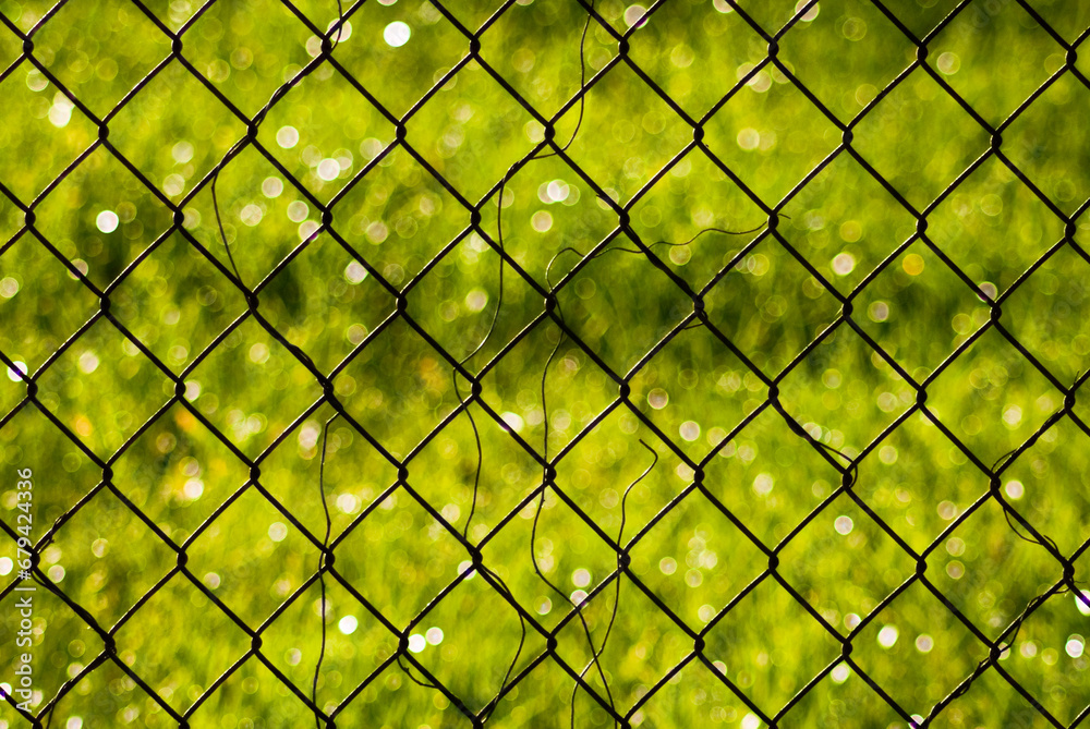 Fototapeta premium mesh netting on a green background background