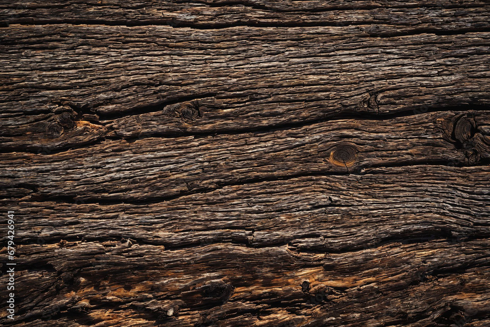 Tree texture Tree texture