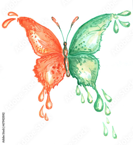 Batterfly in watercolor style
