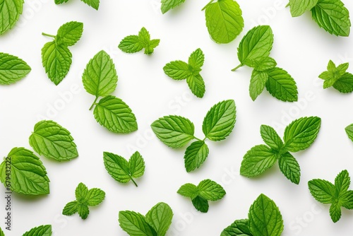 Top view of isolated mint leaf pattern on white background. photo