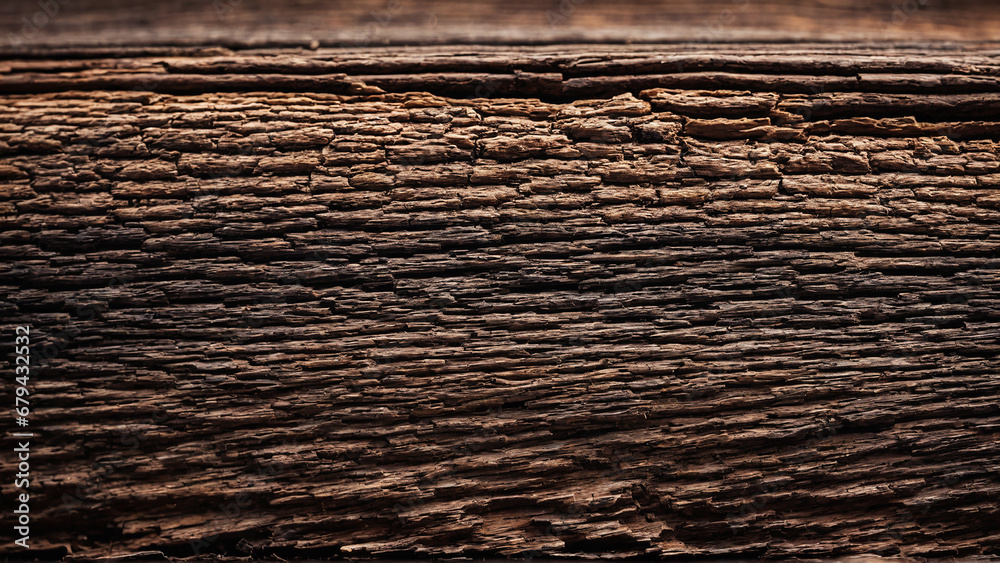 Tree texture Tree texture