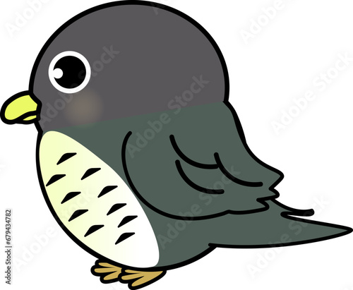 かわいいホトトギスのイラスト