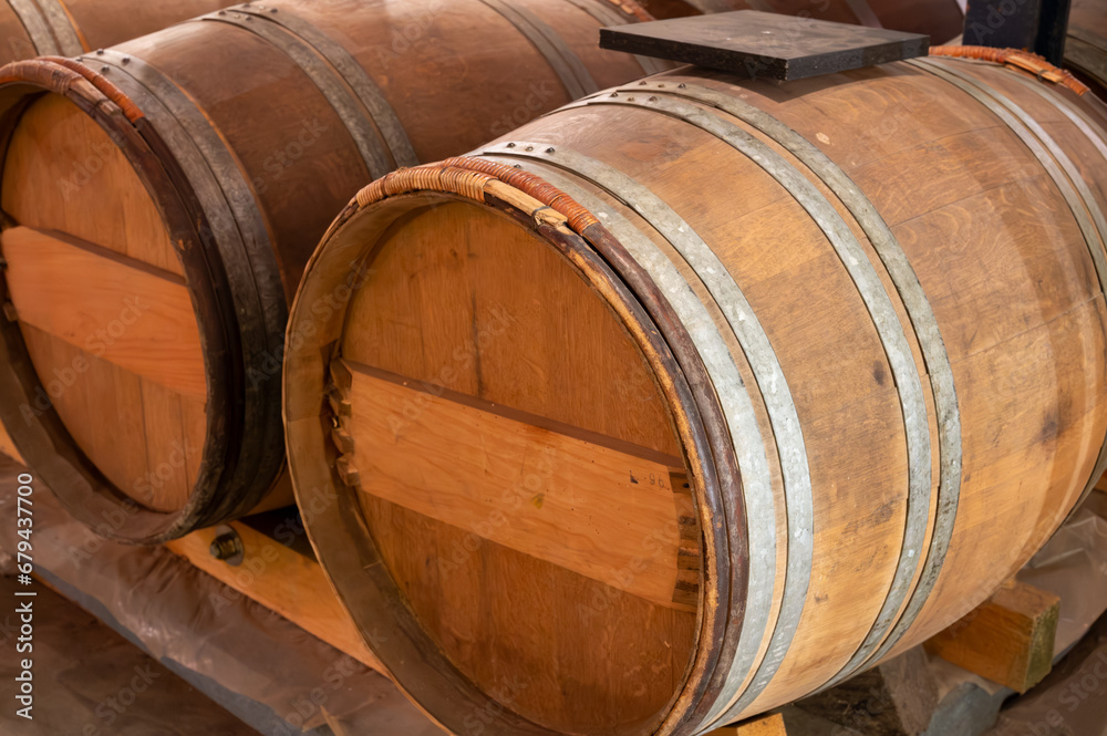 Wine cellar with wooden barrels in old wine domain on Sauternes vineyards in Barsac village affected by Botrytis cinerea noble rot, making of sweet dessert Sauternes wines in Bordeaux, France