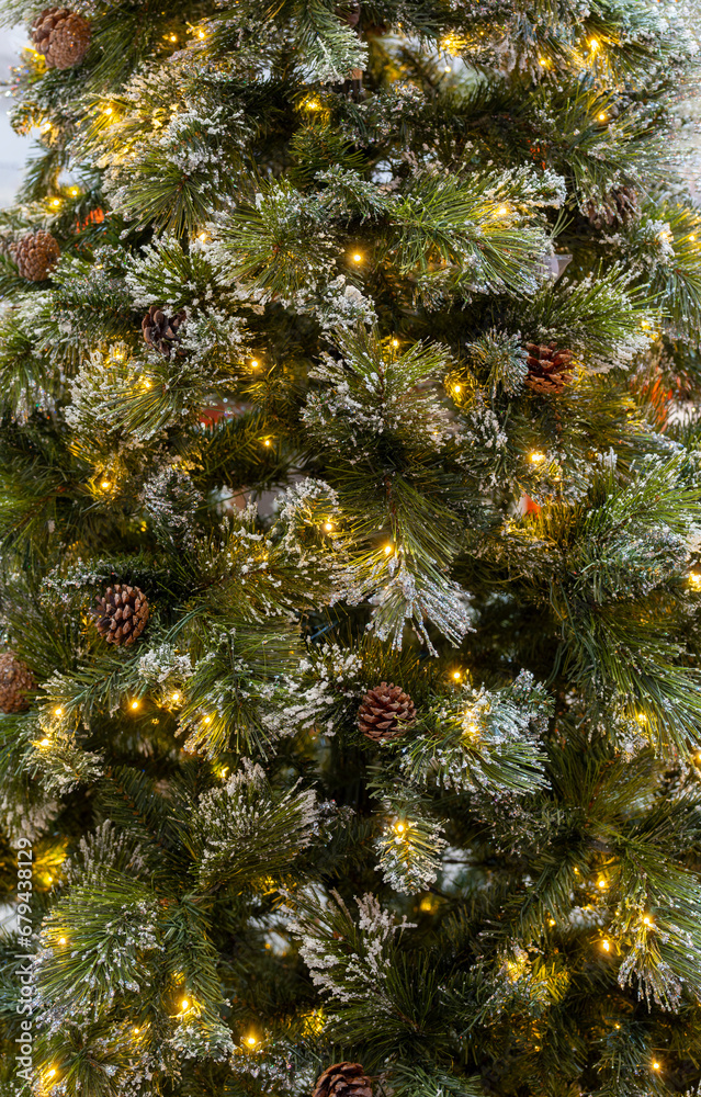 Fototapeta premium Close up on Christmas tree with light