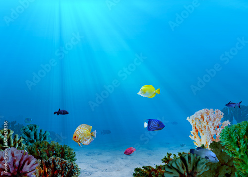 Fototapeta Naklejka Na Ścianę i Meble -  Beautiful corals and different fishes in sea. Underwater world