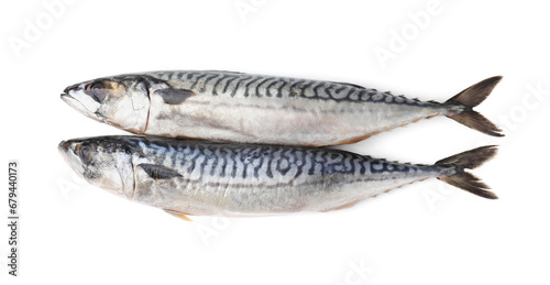 Tasty salted mackerels isolated on white, top view