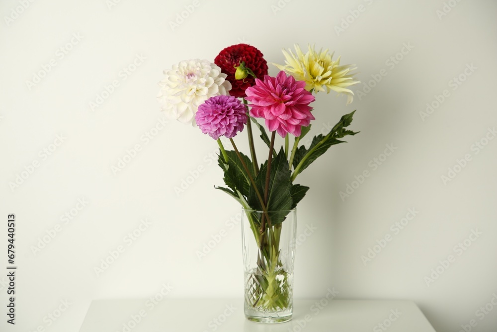 Fototapeta premium Bouquet of beautiful Dahlia flowers in vase on white table