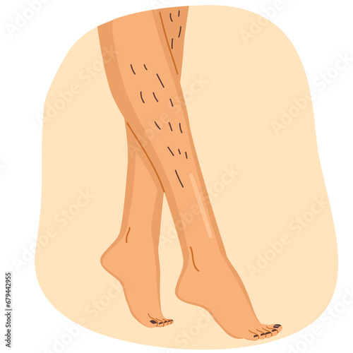 Unshaved hairy female legs vector illustration. Body positive normalize female body hair concept
