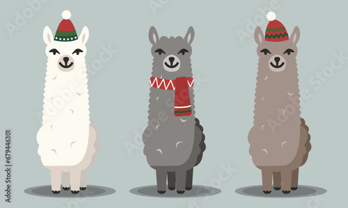 Set of cute llamas in winter hat and scarf