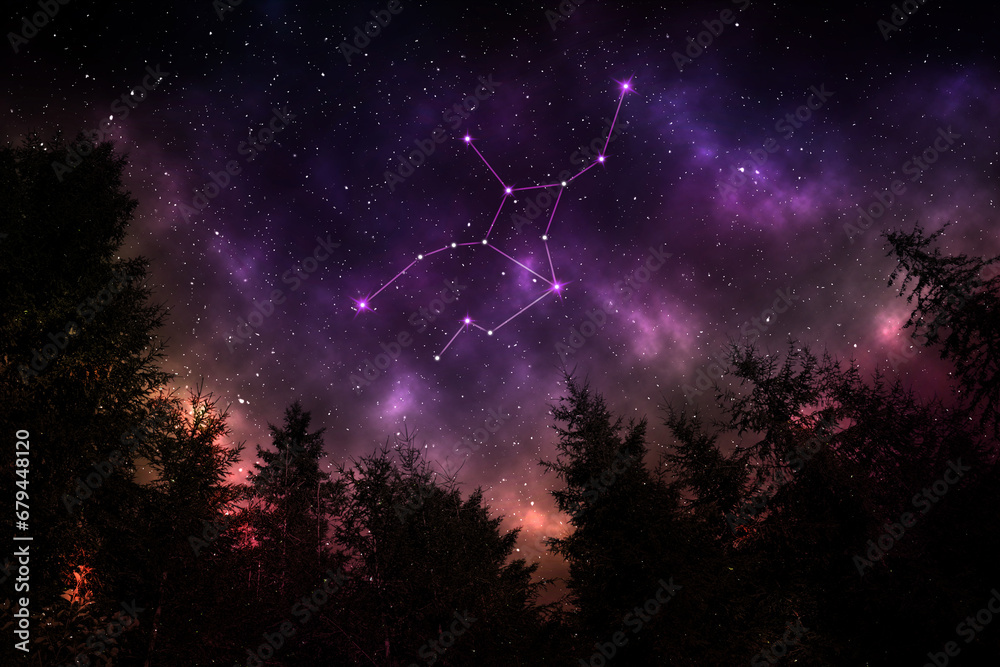 Virgo constellation in starry sky over conifer forest at night, low angle view - obrazy, fototapety, plakaty 