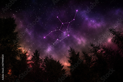 Virgo constellation in starry sky over conifer forest at night, low angle view