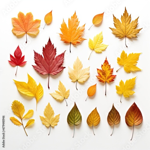 Thanksgiving Day Artful Array Of Fall Leaves On A Crisp on white background