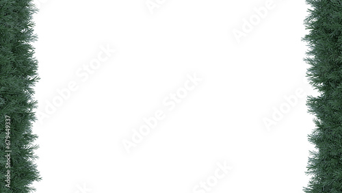 Vertical Border of isolated green Christmas tree branches along the edge on a transparent background