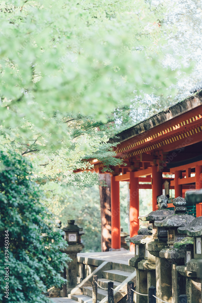 Fototapeta premium 神社の灯篭と回廊