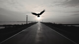左右が川で、地平線までまっすぐ伸びる道に大きな鷹が夕日の中飛んでいるモノクロ写真
