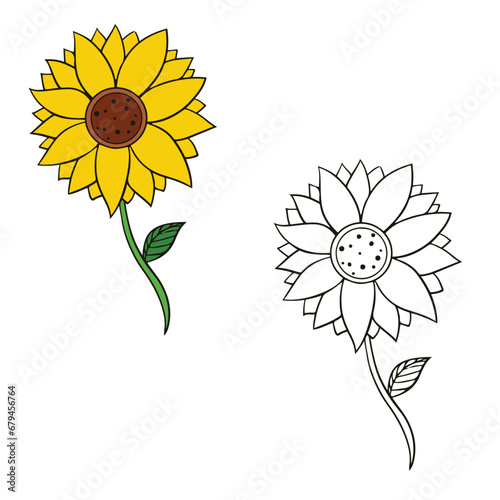 sunflower vector illustration. Simple design outline style. You can change color you want. 