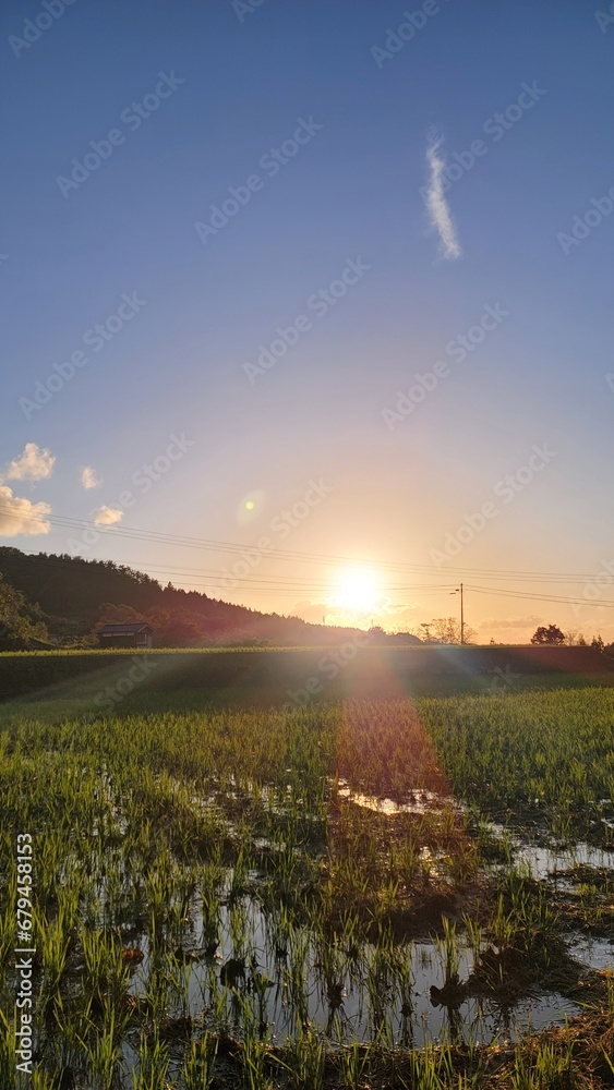 Fototapeta premium 日本の田舎・夕陽が沈む田園風景・夕焼けに染まる田んぼの風景/Japanese countryside / Rural landscape with the setting sun / Landscape of rice fields dyed in the sunset/일본의 시골 · 석양이 가라앉는 시골 풍경 · 일몰에 물드는 논의 풍경