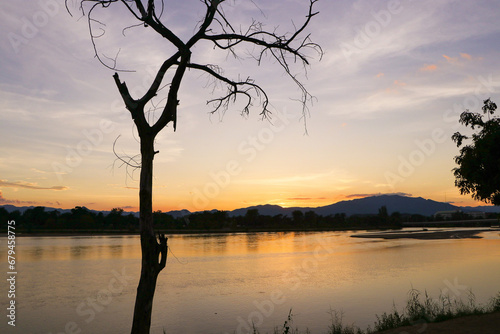 Dry trees along river with the setting sun in the evening. Beautiful summer landscape by the river. Lonely dry tree side canal.