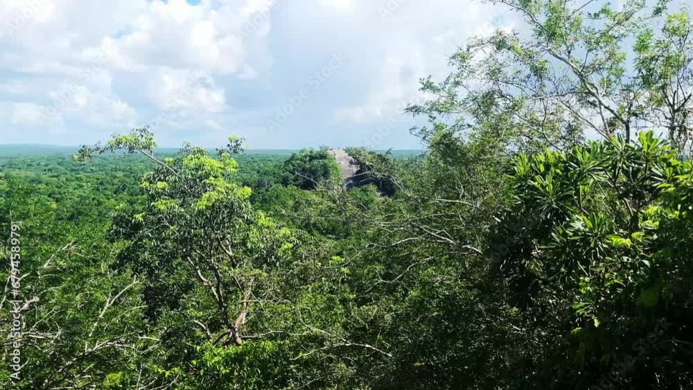 Calakmul Maya archaeological site in the Mexican state of Campeche, deep jungle mexico Guatemala border Calakmul Maya archaeological site in the Mexican state of Campeche, deep jungle mexico Guatemala border