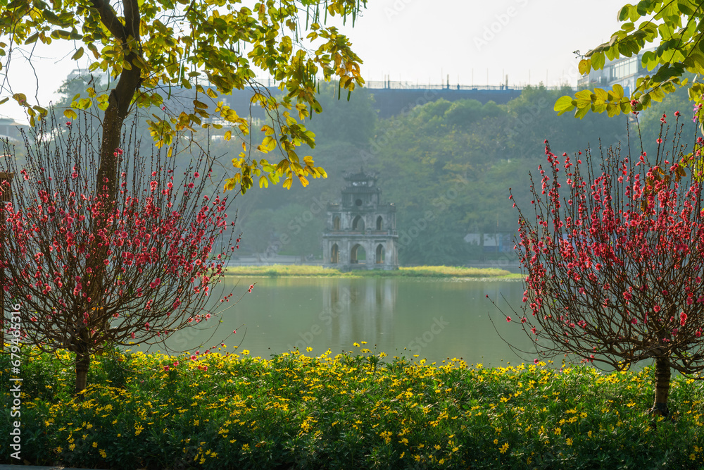 Peach flowers by Hoan Kiem lake with Turtle Tower (Thap Rua) on background. Peach blossom is symbol of Vietnamese lunar New Year Tet