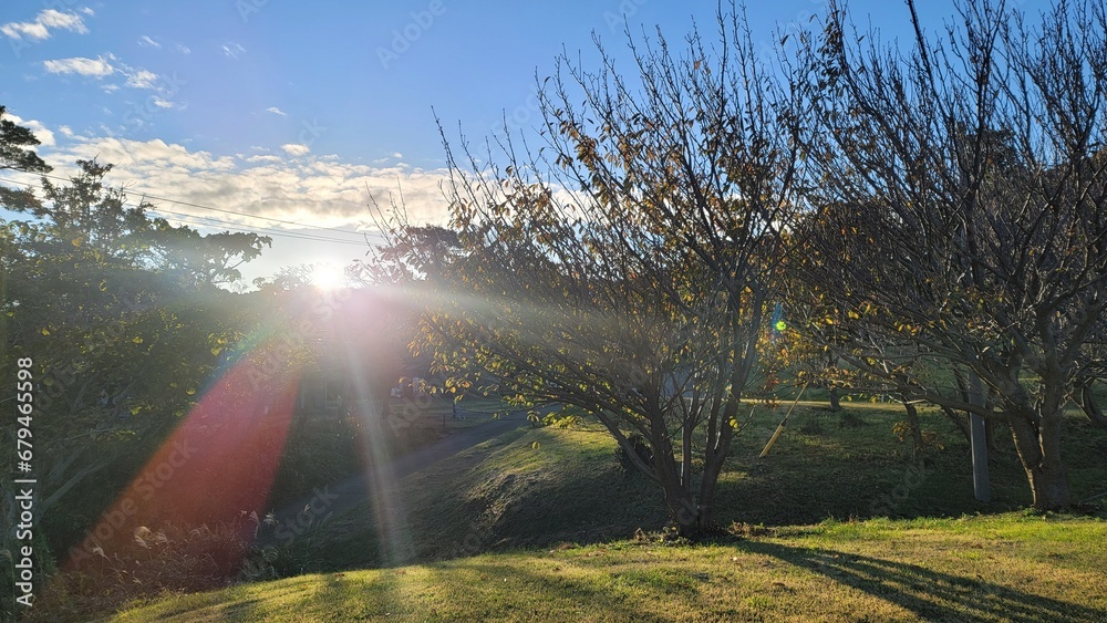 Obraz premium 太陽の光り・田舎の風景/Sunlight・Rural scenery/태양의 빛 · 시골 풍경