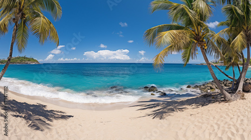 beach with palm trees HD 8K wallpaper Stock Photographic Image 