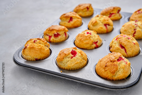 Muffins with red currants in the form for baking