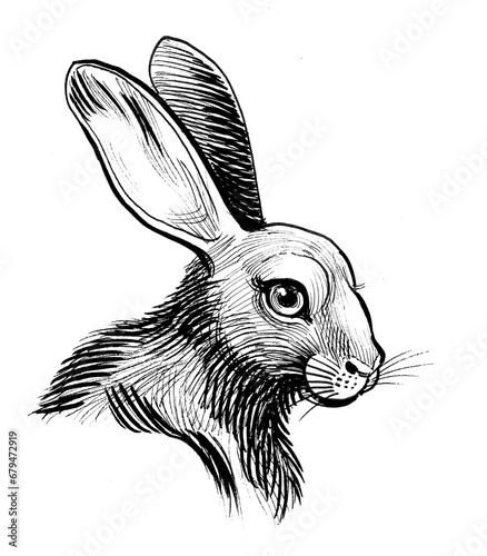 Cute bunny head. Hand-drawn ink black and white drawing