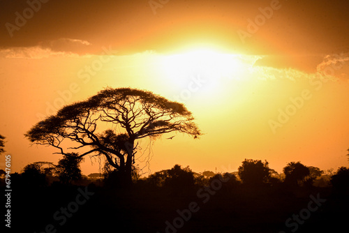 African Sunset © Dakota