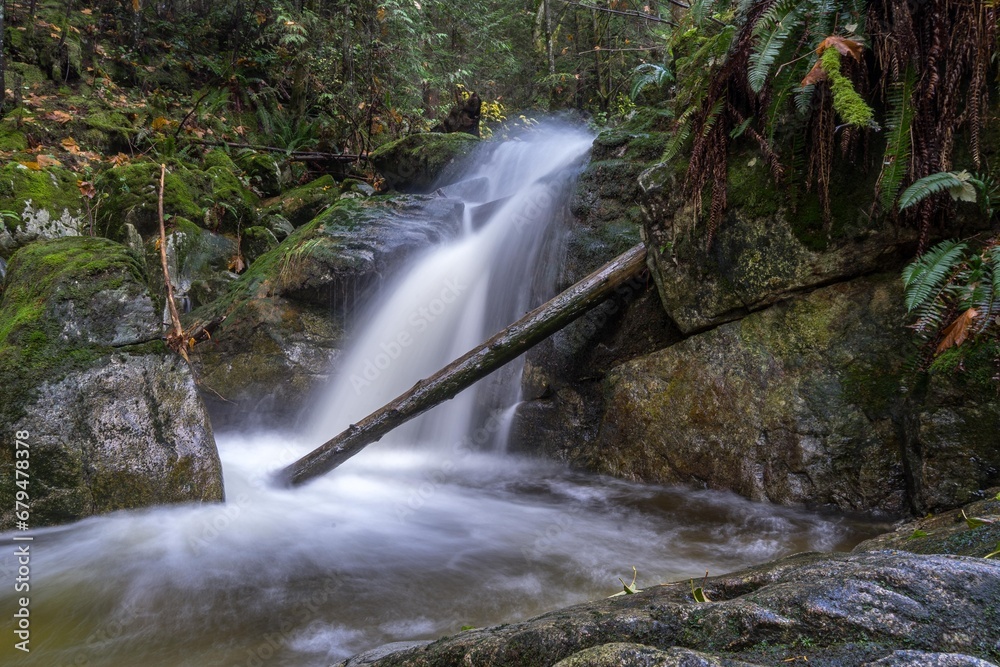 Water falling by a log Water falling by a log