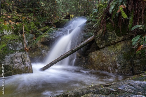 Water falling by a log