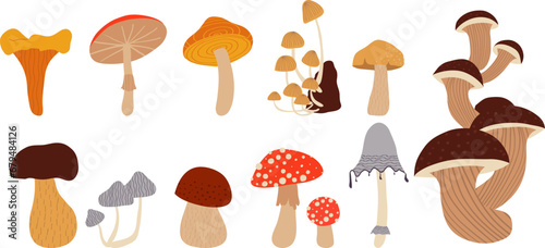 Set with hand drawn forest wild mushrooms: chanterelle, cep, amanita and truffle, white mushroom, honey agarics, fly agarics, morels. Isolated vector illustration set. Cartoon style